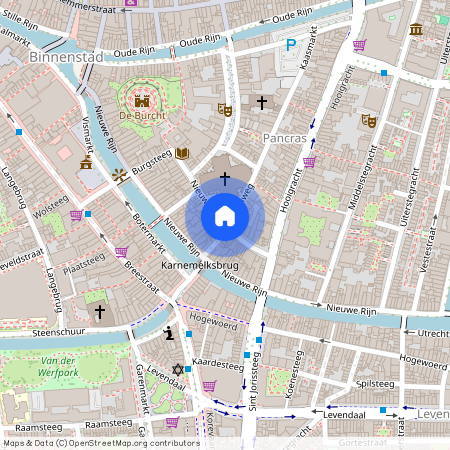 Pancras-West, 2312 KC, Nieuwstraat, Leiden