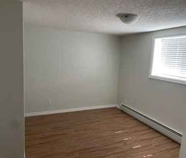 Bright, spacious and quiet area legal 1 bedroom plus den basement s... - Photo 1