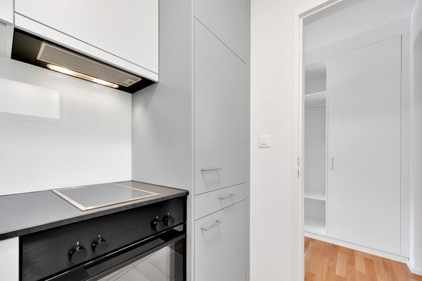 Sanierte Singlewohnung zu vermieten - Photo 1