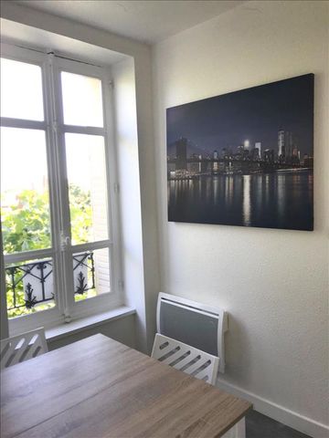 Location Appartement 1 pièce 24m² - Photo 4