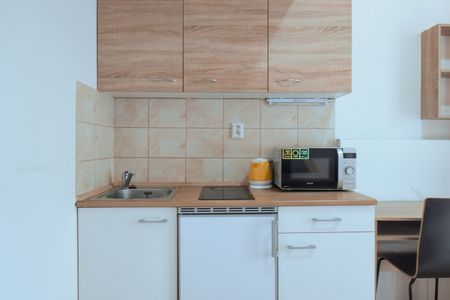 Pronájem bytu 1+kk 20 m² - Fotografie 3