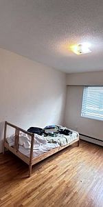 Spacious 1 Bedroom Apartment in Rockland - Photo 3