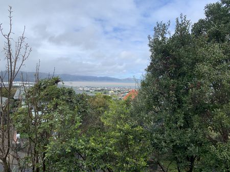 15a Walnut Way, Maungaraki - Photo 4