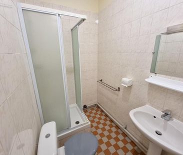 Location Appartement 1 pièce 14m² TOURS 37000 - Photo 3