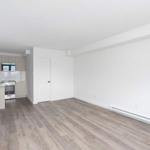 1 CH - 1 SDB - Montreal - $1,195 /mo - Photo 3