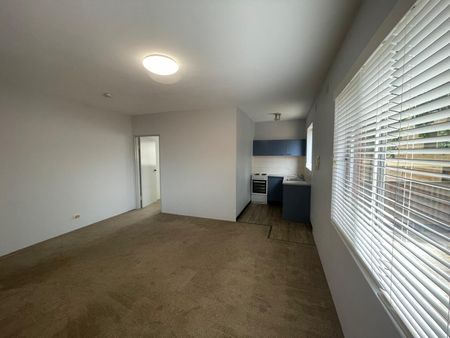 8/115 Flood Street, Leichhardt NSW 2040 - Apartment For Rent | Domain - Photo 3