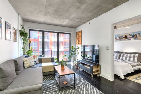 Condo for rent, Montréal (Le Sud-Ouest) - Photo 2