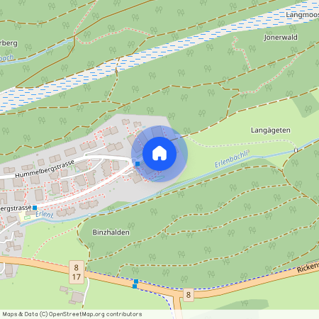 Hummelbergstr, 42, 8645 Jona