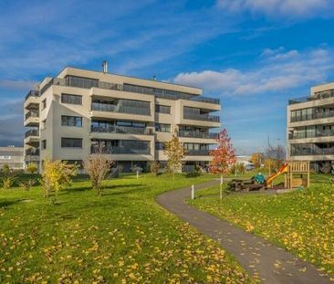 A desire for a change of scenery - Photo 5