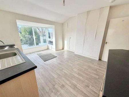 Belgrave Road, Torquay, TQ2 - Photo 5