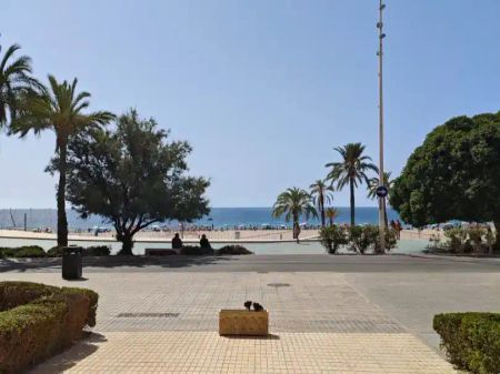 Benidorm - Photo 4