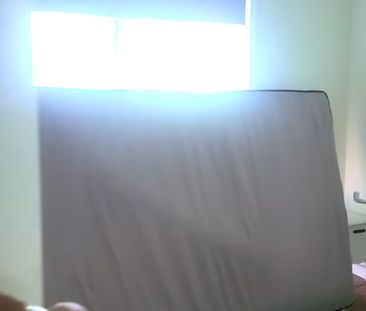 Templestowe - Photo 2