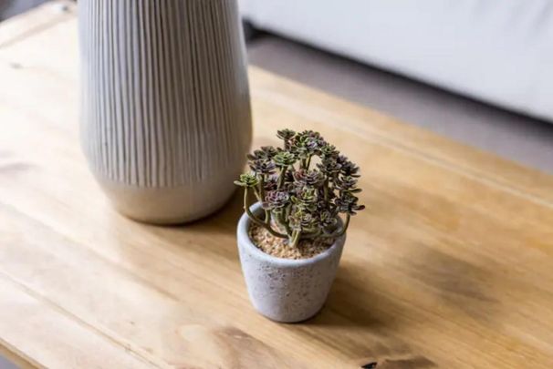 2 bedroom ground floor flat to rent - Photo 1