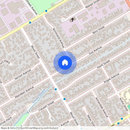 78 Guy Avenue, Takaro, Palmerston North City