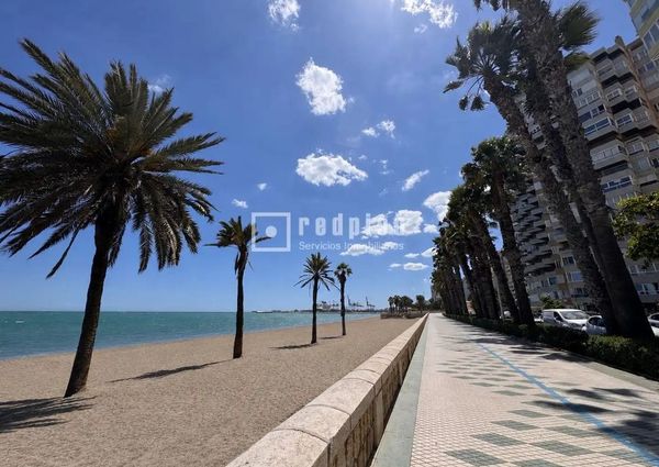 Málaga Capital, Andalusia 29016