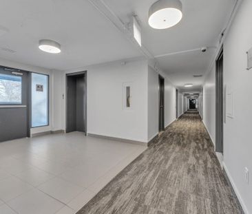 The Winchester - Photo 3