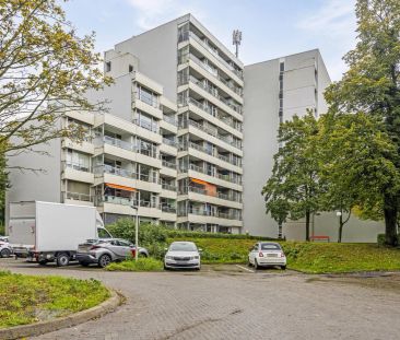 Douvenrade 24 - Photo 6