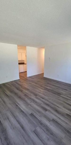2 CH - 1 SDB - Gatineau - $1,495 /mo - Photo 1