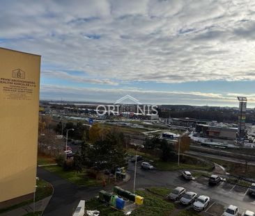 Pronájem bytu 1+1 35 m² - Photo 3