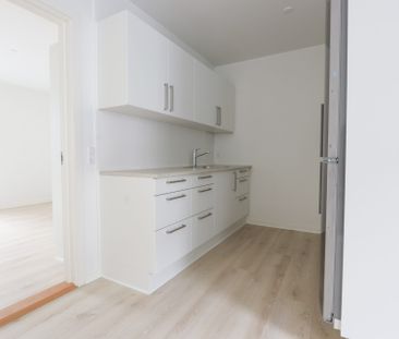 Stor og ny renoveret lejlighed i Vejle - Foto 1