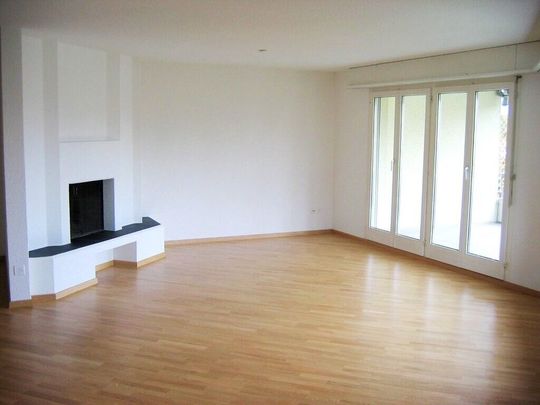 Dream home on the Reuss River - Foto 1