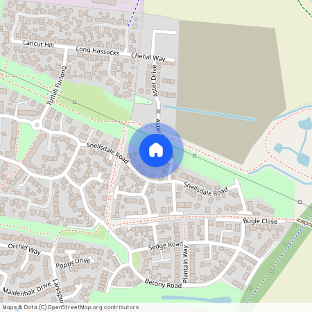 Aster Drive, Rugby