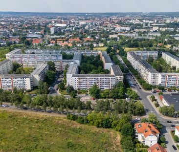 Ludwig-Renn-Allee 14 - Photo 4