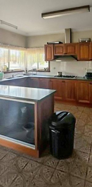 54 Hamilton St, Shepparton - Photo 1