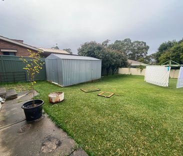 249 Paterson Road, 2320, Bolwarra Heights Nsw - Photo 3