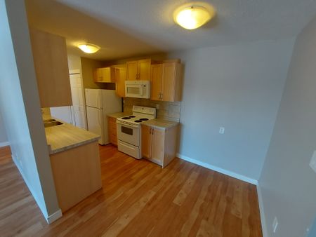 1 Bedroom, 1 Bathroom Apartment with a Balcony - Photo 4