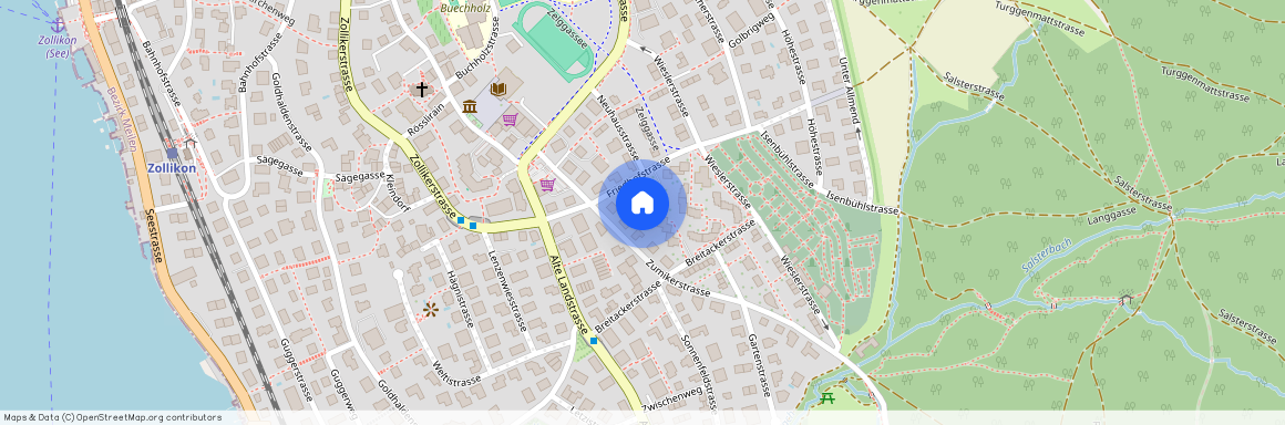 Friedhofstrasse 16, 8702, Zollikon