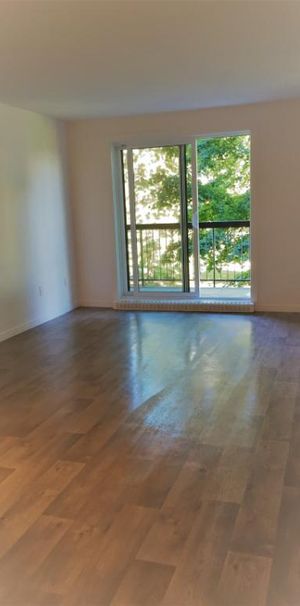 GRAND 3 ½ - ENTIÈREMENT RÉNOVÉ, 1165 $/MOIS TOUT COMPRIS! A PARTIR DE OCTOBRE OU NOVEMBRE - Photo 1