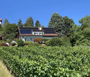Magnifique villa individuelle de 7 pièces sur 3 niveaux - Magnifice... - Photo 2