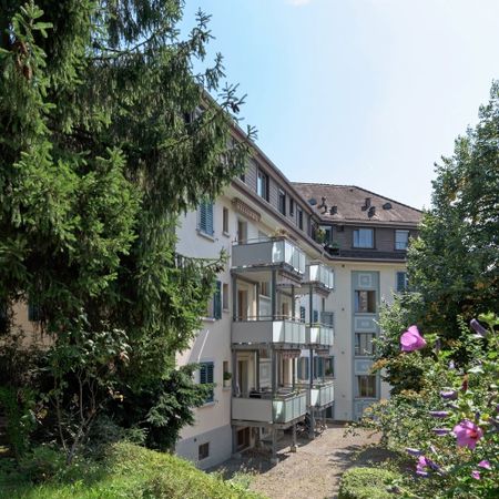 Charmante Altbauwohnung im schönen Wipkingen - Photo 4