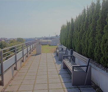 mieszkanie na wynajem Szczecin Centrum - Zdjęcie 4