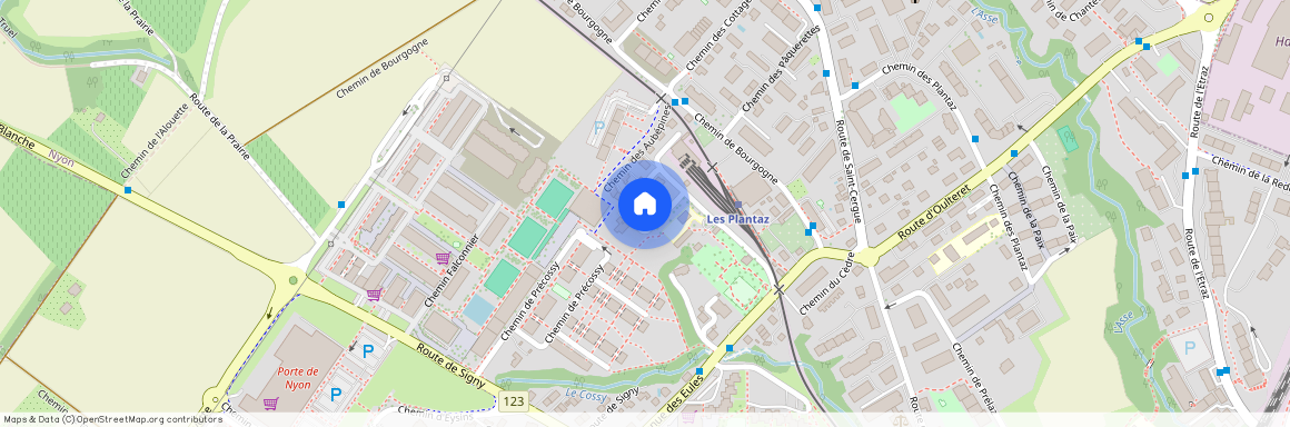 chemin des Mangettes 14, 1260 Nyon