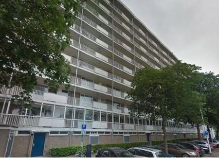 Suze Groeneweglaan 3021 AE Rotterdam - Photo 3