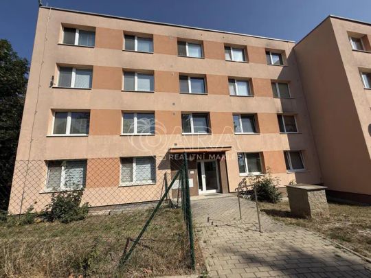 Pronájem bytu 1+1 se sklepní kójí a možností užívání zahrady u domu - Photo 1