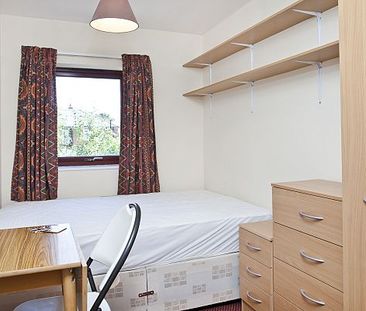 17 St Hilda's Mews - Photo 4