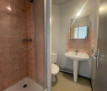 Location Appartement 1 pièce 16m² CHAMBRAY LES TOURS 37170 - Photo 3