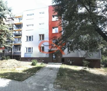 Pronájem bytu 2+1 Rožnov pod Radhoštěm - Photo 4