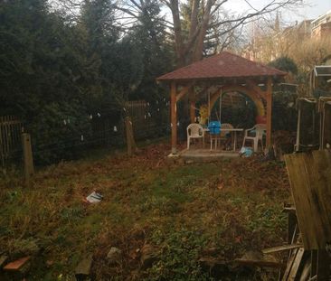 Eine 1-Zimmer-Wohnung in Falkenstein zu vermieten - Photo 1