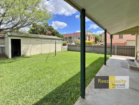 46 Havelock Street, Mayfield - Photo 5