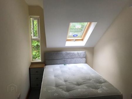 Flat2, 2b Carmel Street, Belfast, BT7 1QE - Photo 2