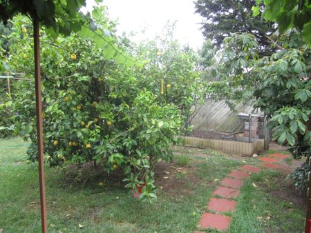 charming 3-bedroom home - Photo 3