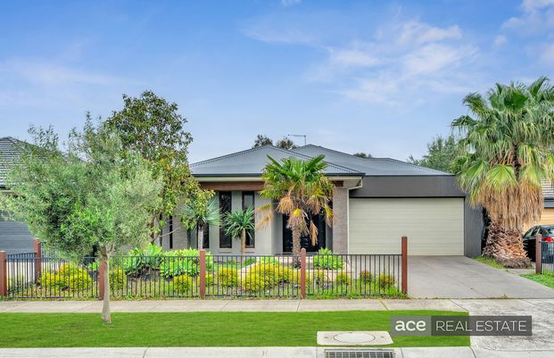 4 Zenith Avenue, Williams Landing VIC 3027 - House For Rent | Domain - Photo 1