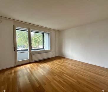 2.5 Zimmer, 68 m², 11. Stock - Foto 4