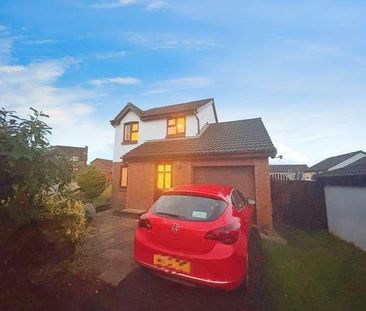 Timothy Rees Close, Cardiff, CF5 - Photo 5