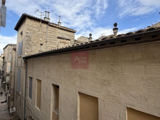 LOCATION APPARTEMENT STUDIO MEUBLÉ MONTPELLIER ECUSSON SAINT ROCH - Photo 1