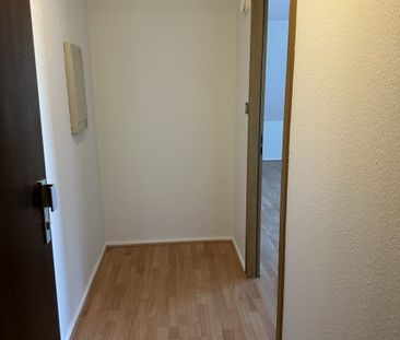 Grand 1 pièce, robertsau - Photo 5